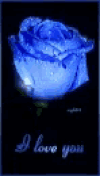 a blue rose with water drops on it is on a black background with the words `` i love you '' .