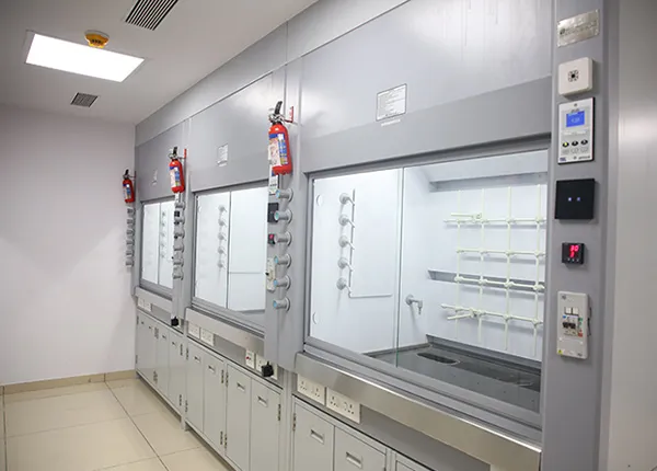 Double Entry Fume Hood