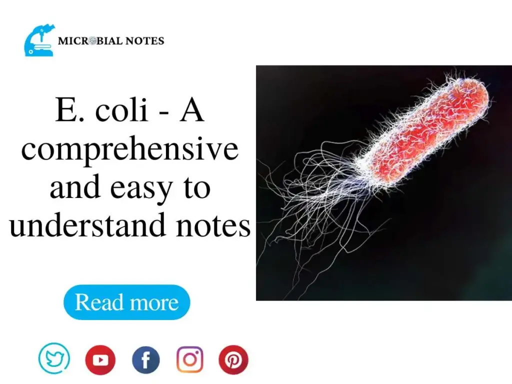 E coli