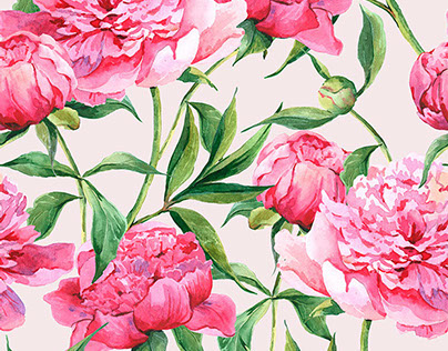 Beautiful watercolor bouquet of pink peonies