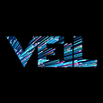 VEIL DIGITAL 's profile