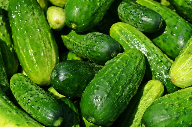 cucumbers are one of the easiest vegetables to grow