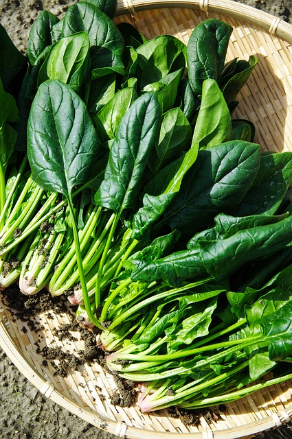 spinach is one of the easiest vegetables to grow