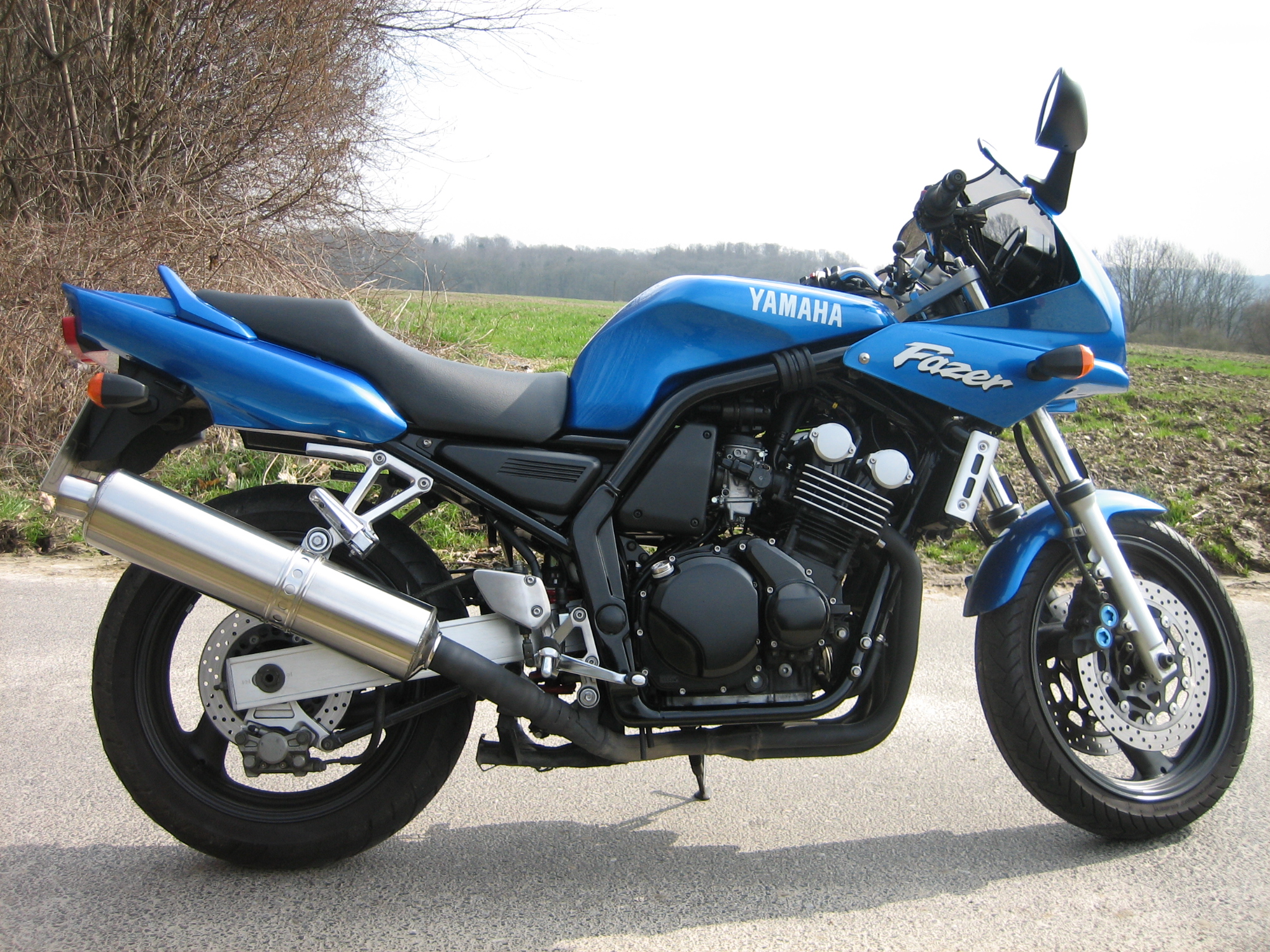 Asche Segen Sprießen yamaha fazer 600 2001 Anzeichen Staude Jemand