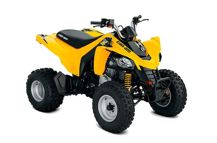 Can-Am DS 250