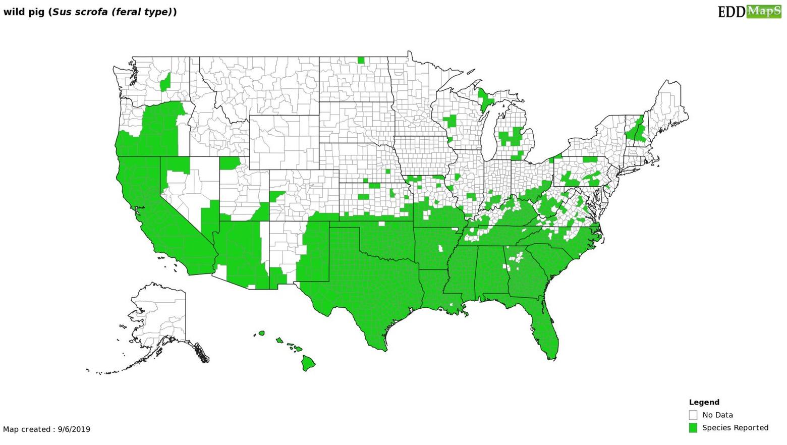 Are We Ready For The Coming Feral Hog Invasion?