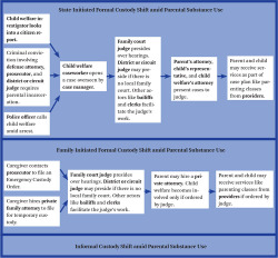 Figure 1. Legal Actors Involved in Kinship Family Formation Source: Author's interviews with legal actors. Note: Different actors are relevant if the process is initiated by the state or by the family. No actors are involved for an informal custody shift.