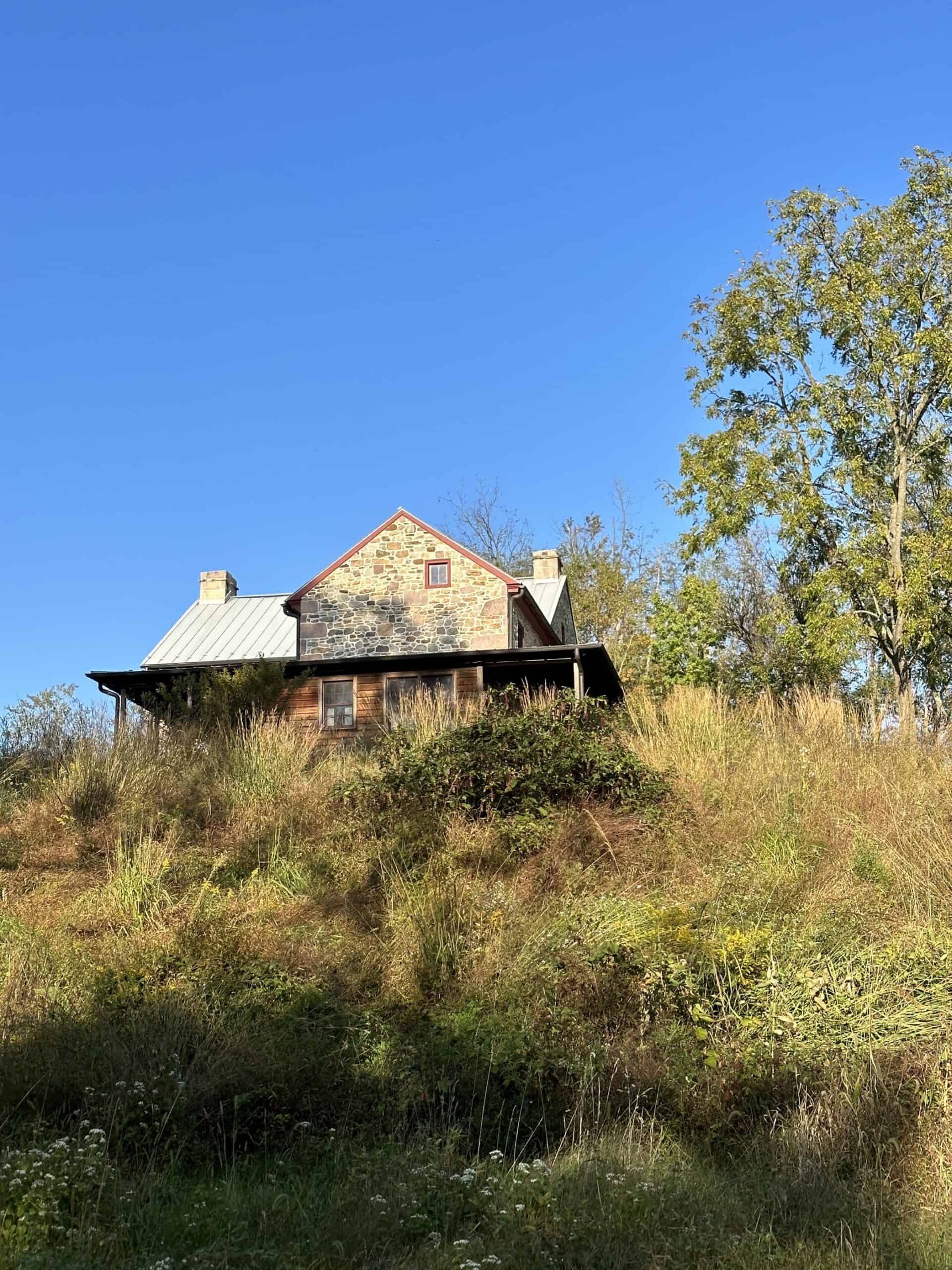 A house on a hill with a meadow growing around it