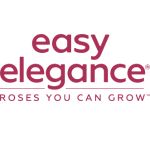 Easy Elegance Roses You Can Grow