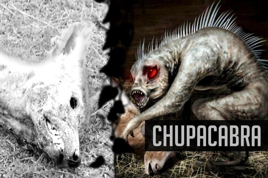 Chupacabra