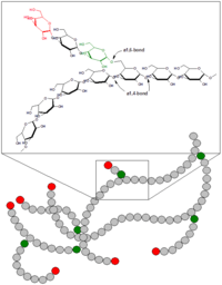 Archivo:Glycogen