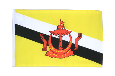 Brunei 12x18 in Flag