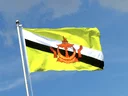 Brunei Flag