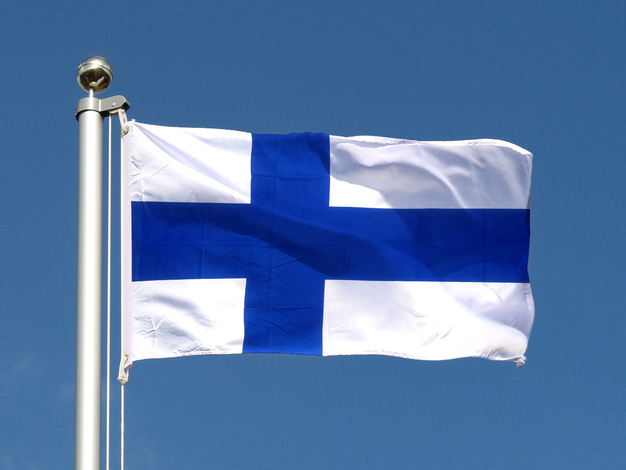 Finnish Flag