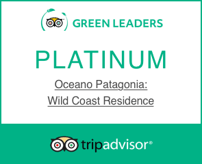 Platinum Green Leader