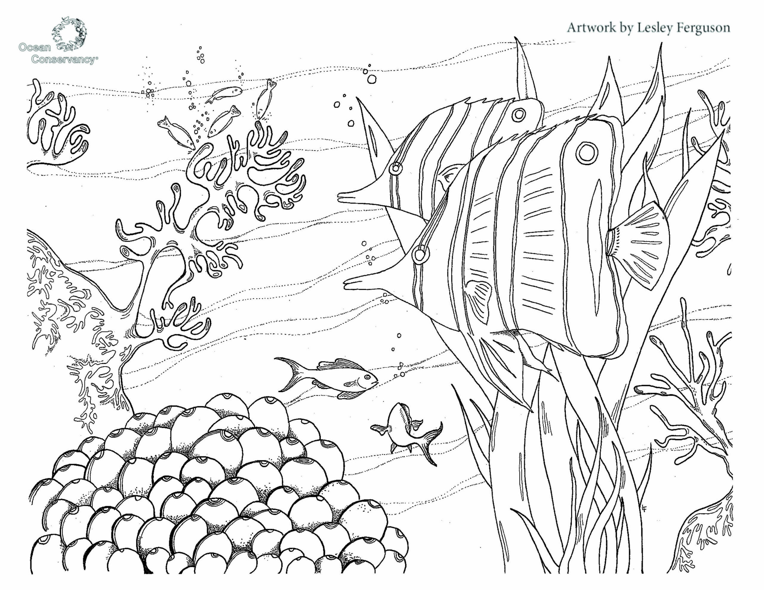 free coloring pages of ocean fish