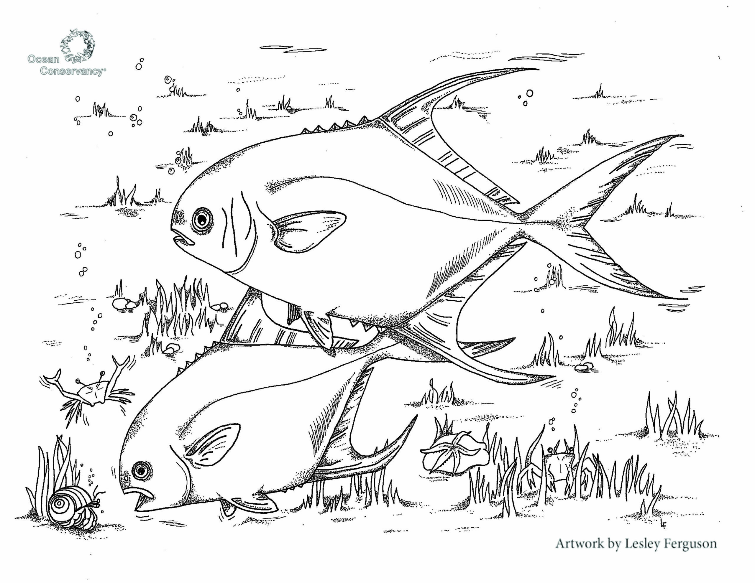 free coloring pages of ocean fish