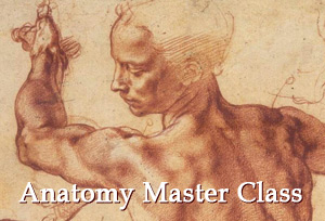 Anatomy Master Class