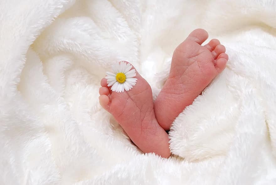 baby, birth, child, soft, newborn, born, feet, infant, lucky soul, luck, charming