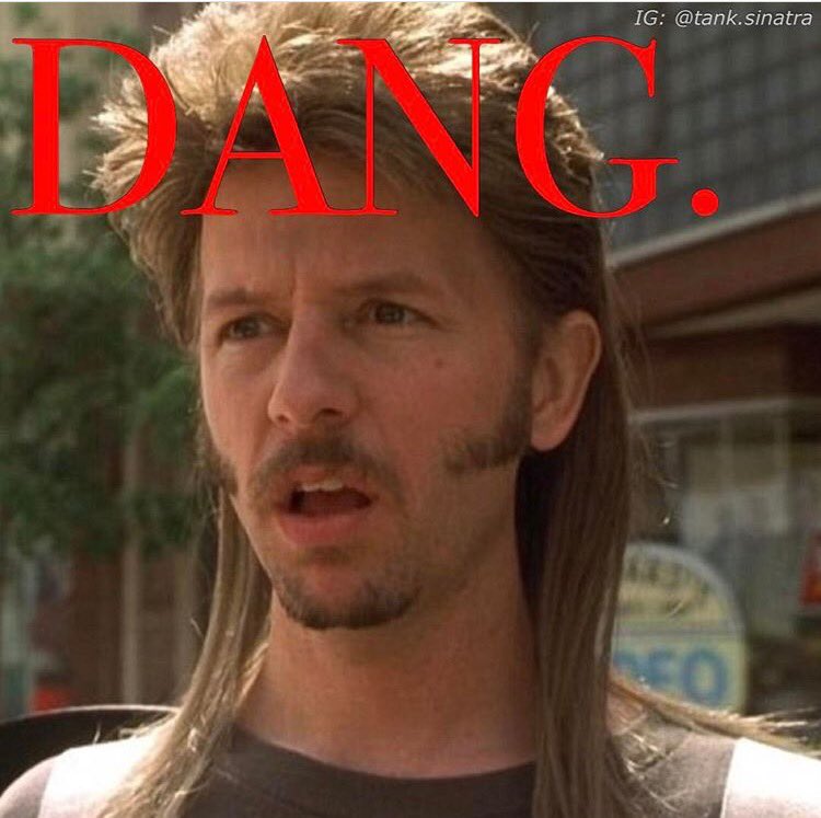 Joe Dirt Dang Meme