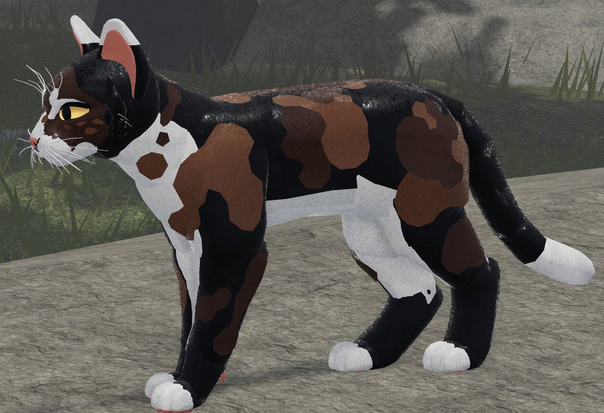 Warrior cats ultimate edition skin ideas