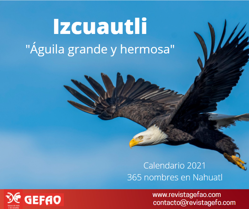 Revista GEFAO on Twitter: 