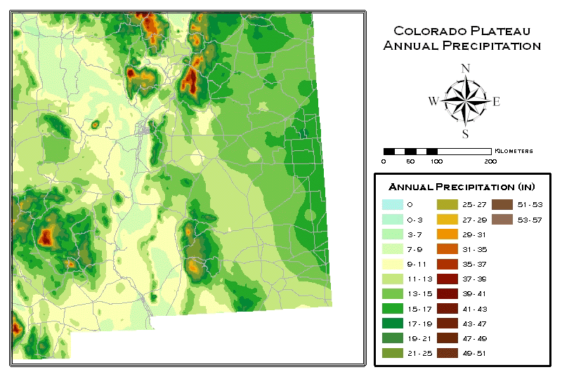 New Mexico Rainfall 2024 - Remy Valida