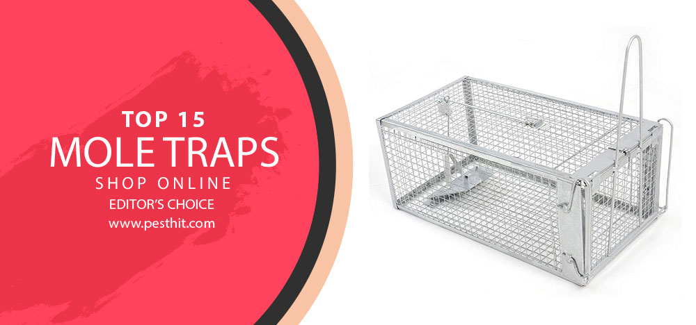 Best Mole Trap