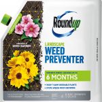 Best Granular Weed Killers 2023