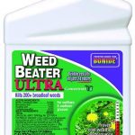 Best Broadleaf Weed Killers For Lawns 2025