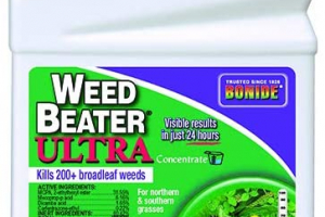 Best Broadleaf Weed Killers For Lawns 2024