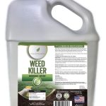 Best Non-Toxic Weed Killers 2025