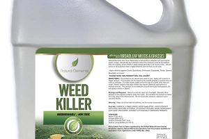 Best Non-Toxic Weed Killers 2024