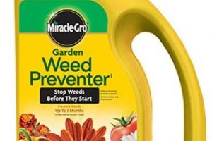 Best Weed Killers For Flower Beds 2024