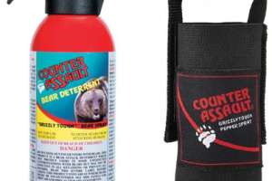 Best Bear Spray 2025