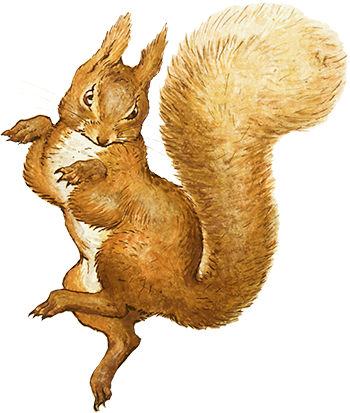 An image of Squirrel Nutkin