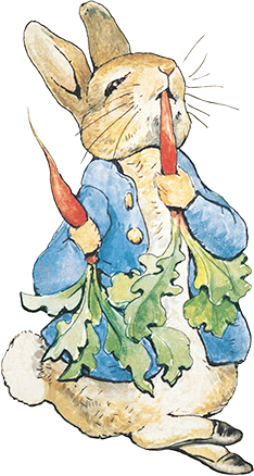 An image of Peter Rabbit