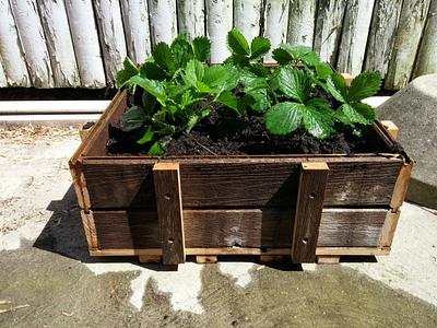 Fence picket planter boxes - Project by Brian