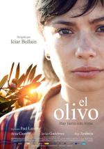 El olivo 