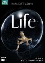 Life (TV Miniseries)