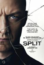 Split 