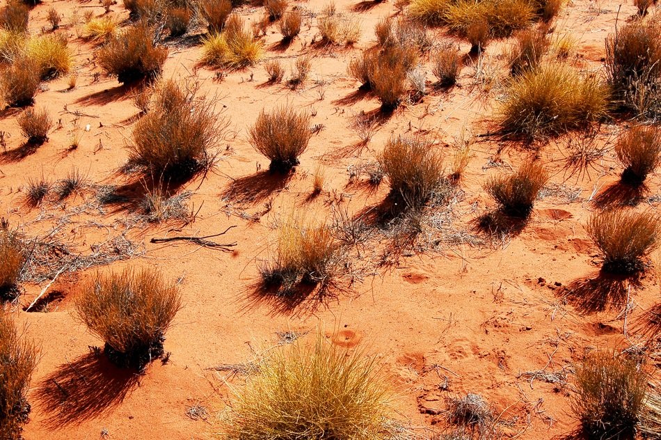 steppe landscape in australia