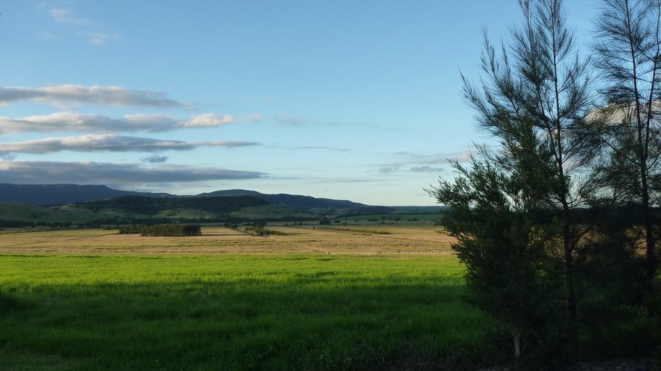 meadow countryside landscape australia