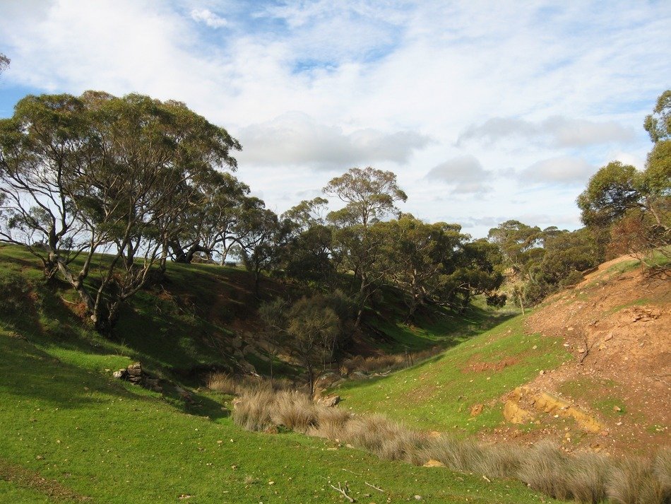 rural landscape in Australia