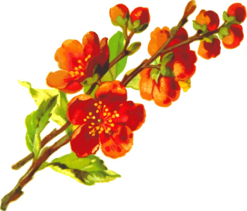 painted orange buds on a branch