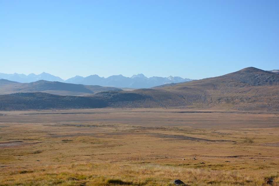 distant hills in brown steppe, wild landscape