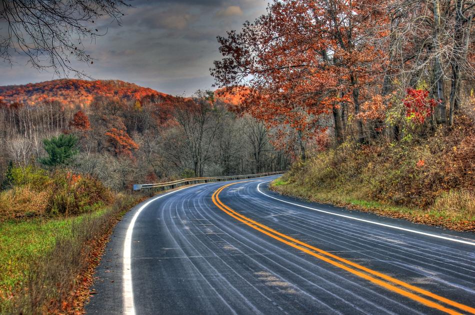 Road Landscape Scenic