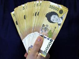 korea Don Money Currency