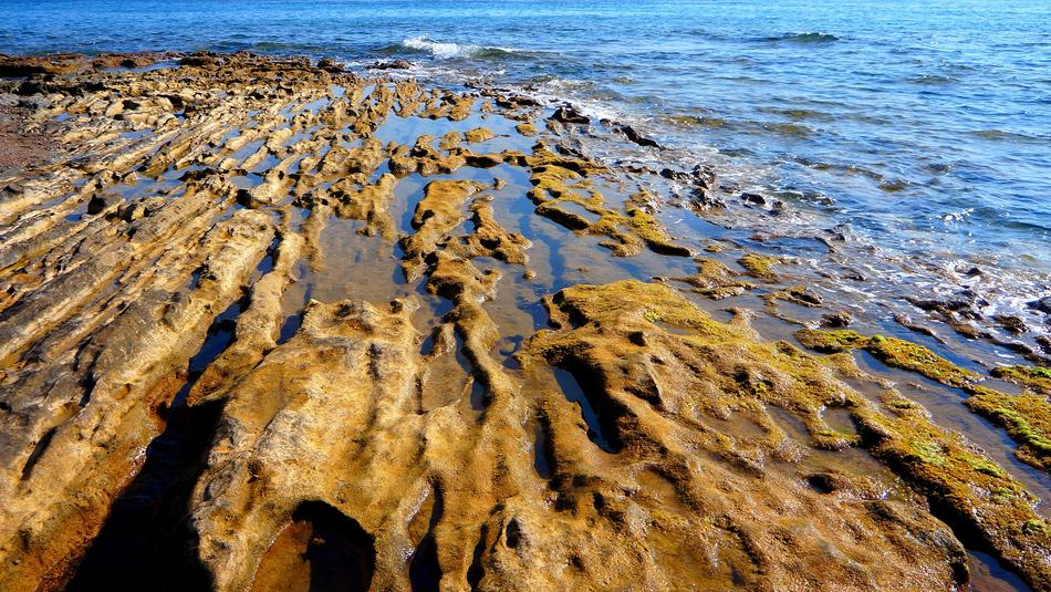 Sea Beach Landscape