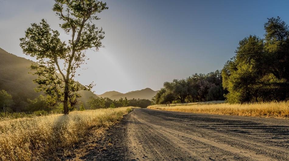 Scenic Landscape Road